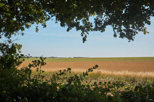 Photo 4- click for photo gallery